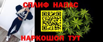 гидра Берёзовский