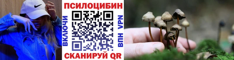 Псилоцибиновые грибы мухоморы  ОМГ ОМГ tor  Гудермес 
