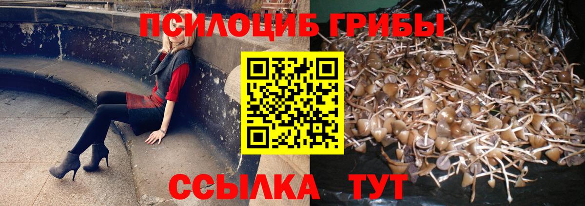 Псилоцибиновые грибы Cubensis  Псилоцибиновые грибы Magic Shrooms  Гудермес 