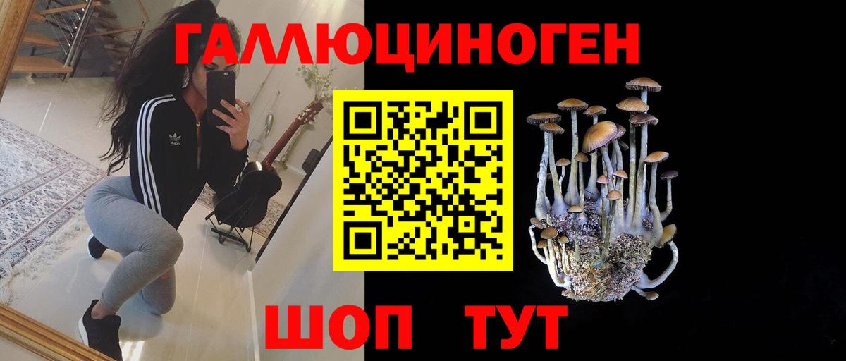 Псилоцибиновые грибы мицелий  Галлюциногенные грибы Psilocybine cubensis  Вход с VPN  даркнет сайт  Гудермес 